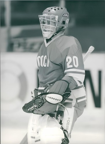Hockey photo print goalie - ,