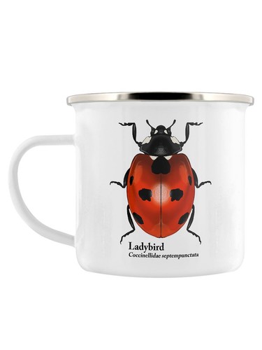 Nature delights insect - delights,