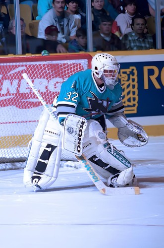 Hockey photo print goalie - ,